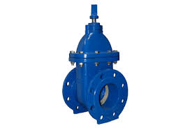 Cửa Gang nỗi Bích Ty Chìm Nắp Chụp Sơn Epoxy